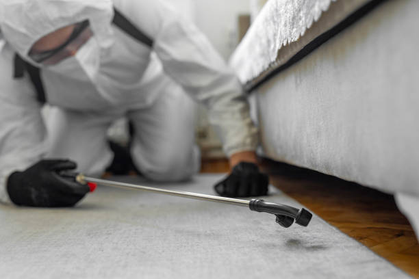 Professional Bed Bug Control technician working in Morgan County County, CO